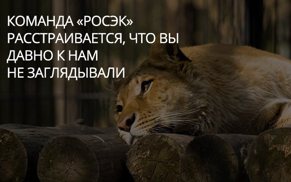 Команда АВС.экспресс расстраивается, что Вы давно к нам не заглядывали
