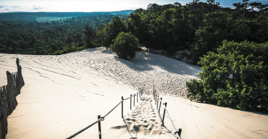 White sands of the dune overlooking the ocean through pine groves.