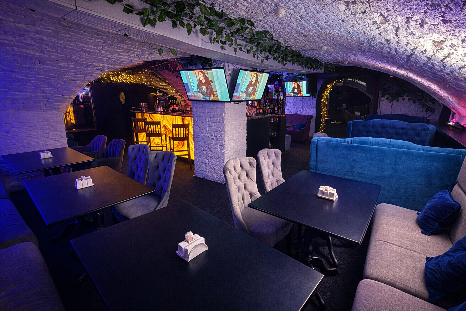 Интерьер караоке-бара Белая стрекоза