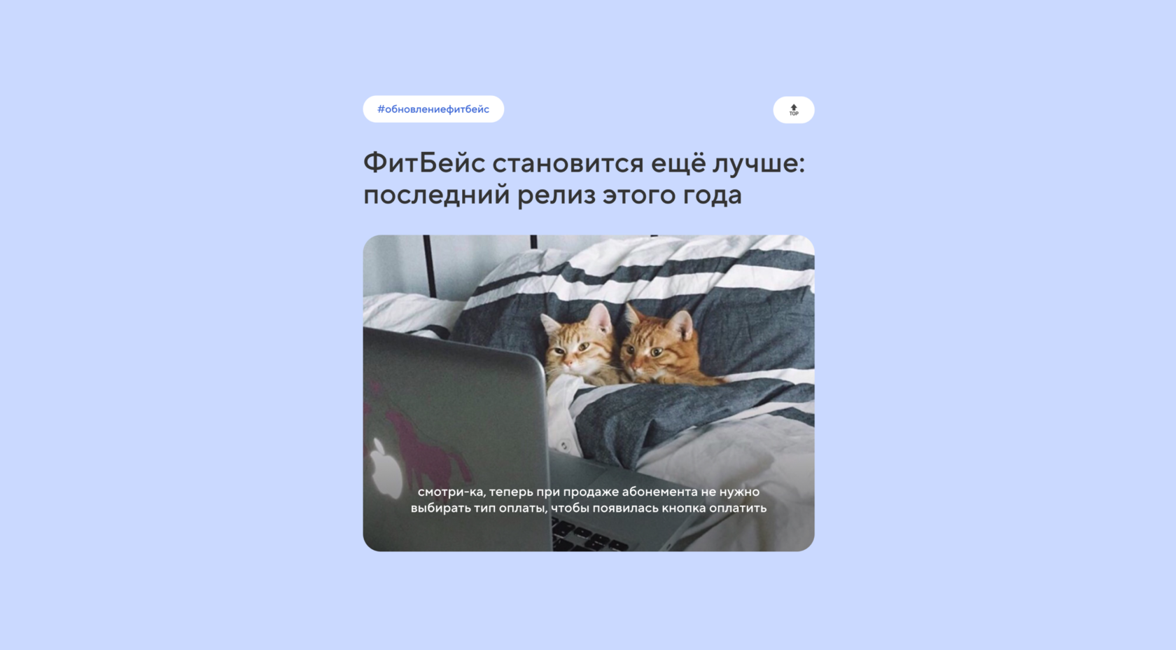 ФитБейс становится ещё лучше