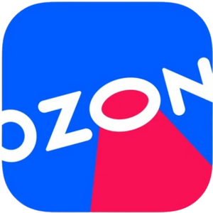 website icon