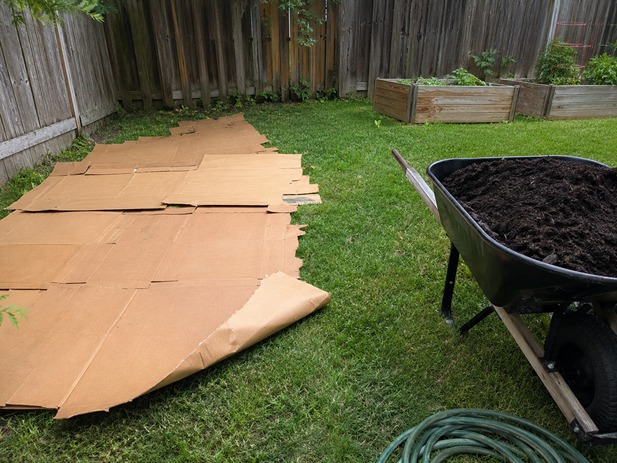 Lawn being converted to a vegetable garden with cardboard and compost layers