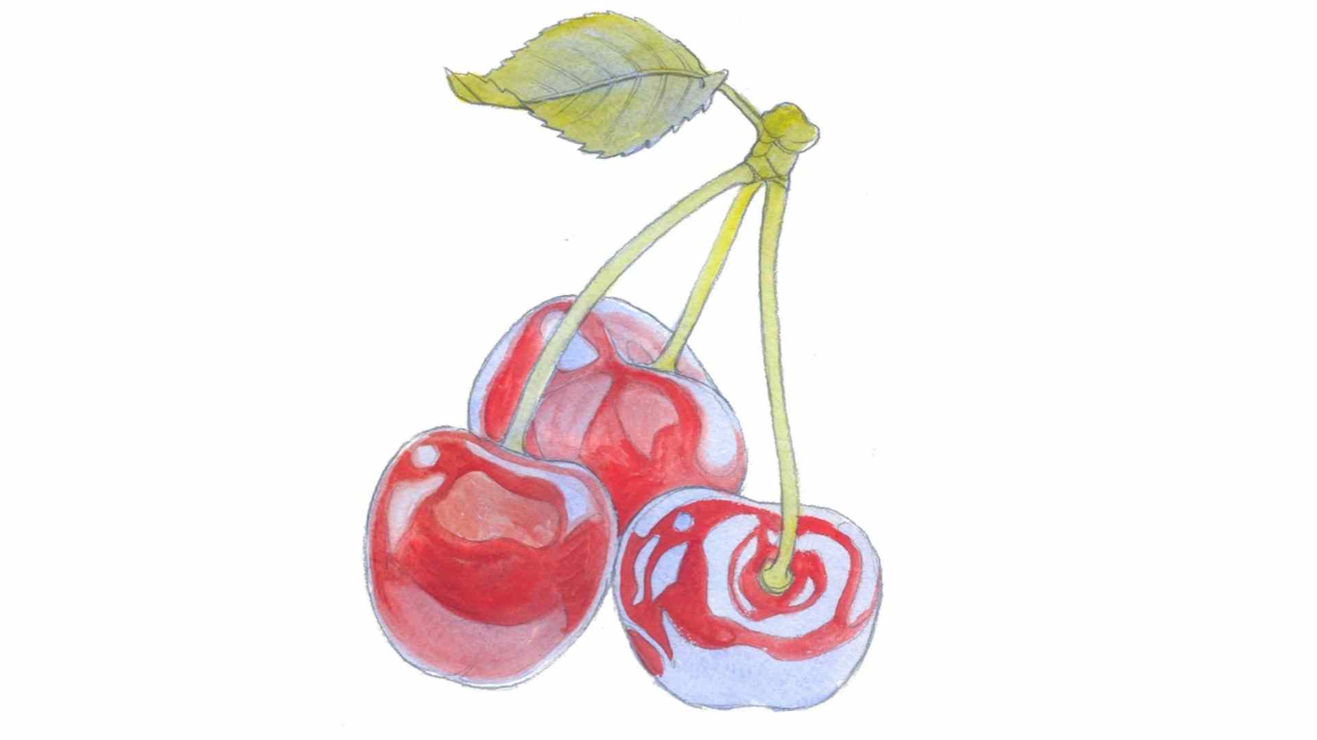 Як намалювати вітки вишні з плодами аквареллю?