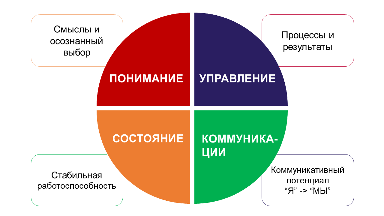 Институт управления проектами это