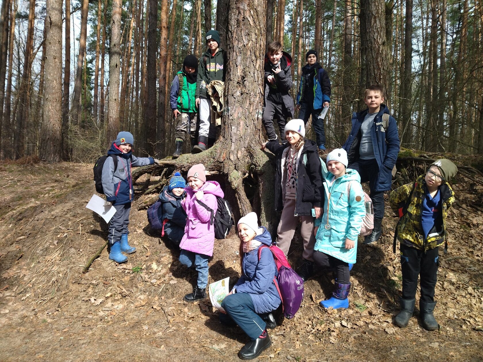 Какая программа в лесу. Март в лесу. Туризм. Лесная программа. Лес софт.