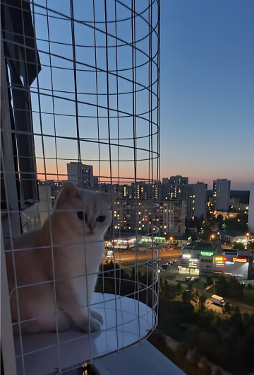 Балкон кошек «Васька» ночью