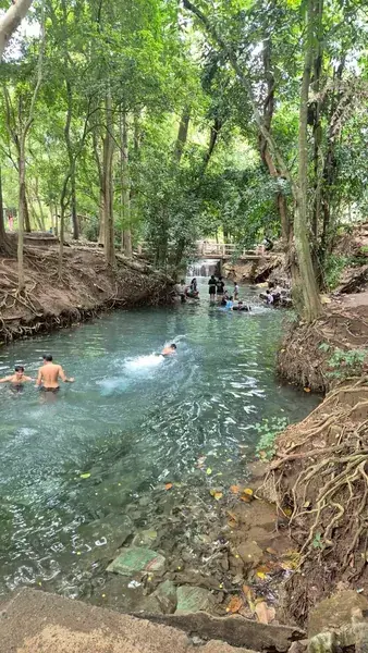 Купание в реке среди деревьев