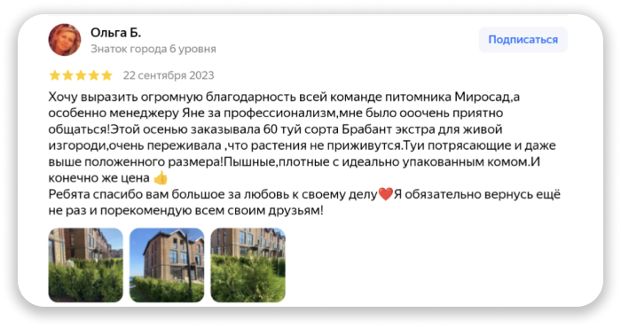 Отзыв клиента
