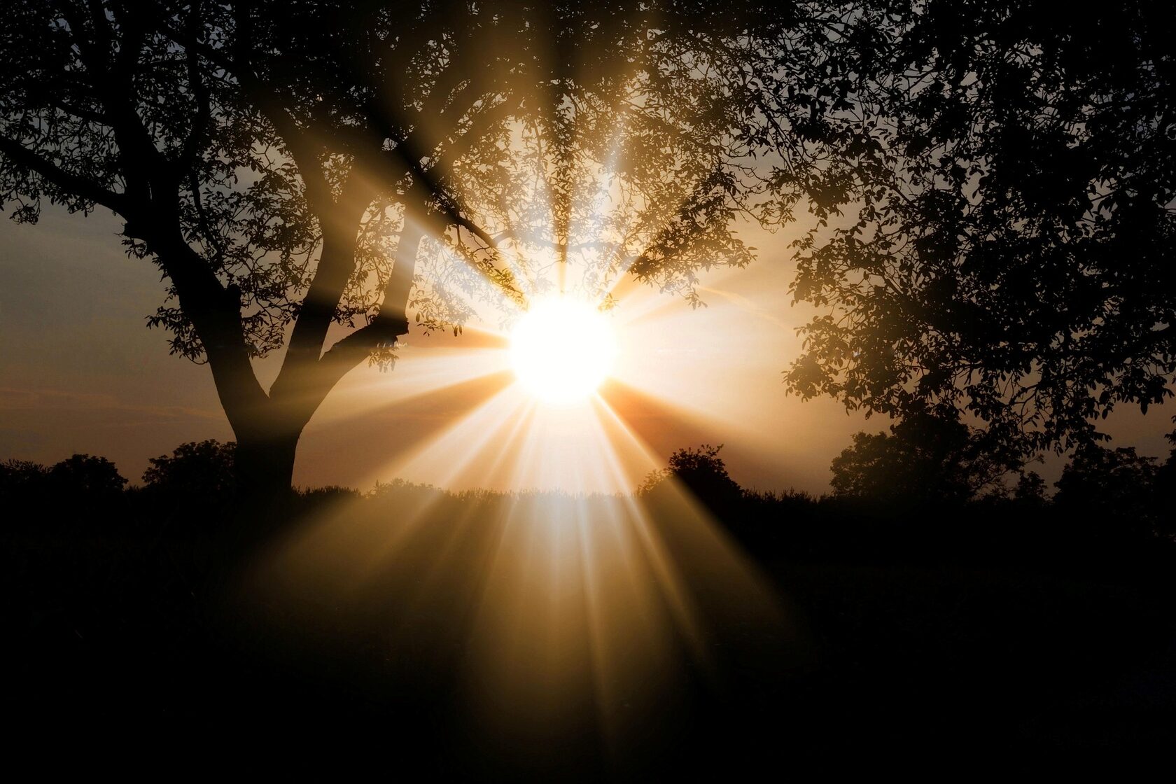 Early sunlight exposure