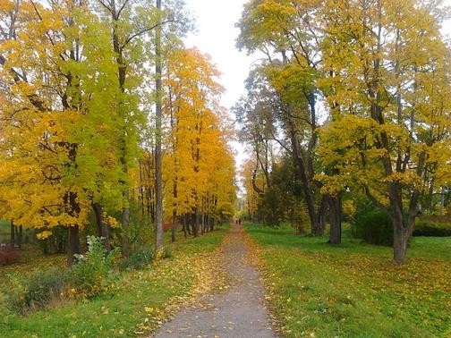 Письмо менеджеру по продажам