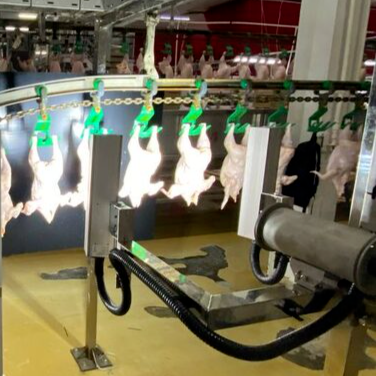 Оптический сенсор