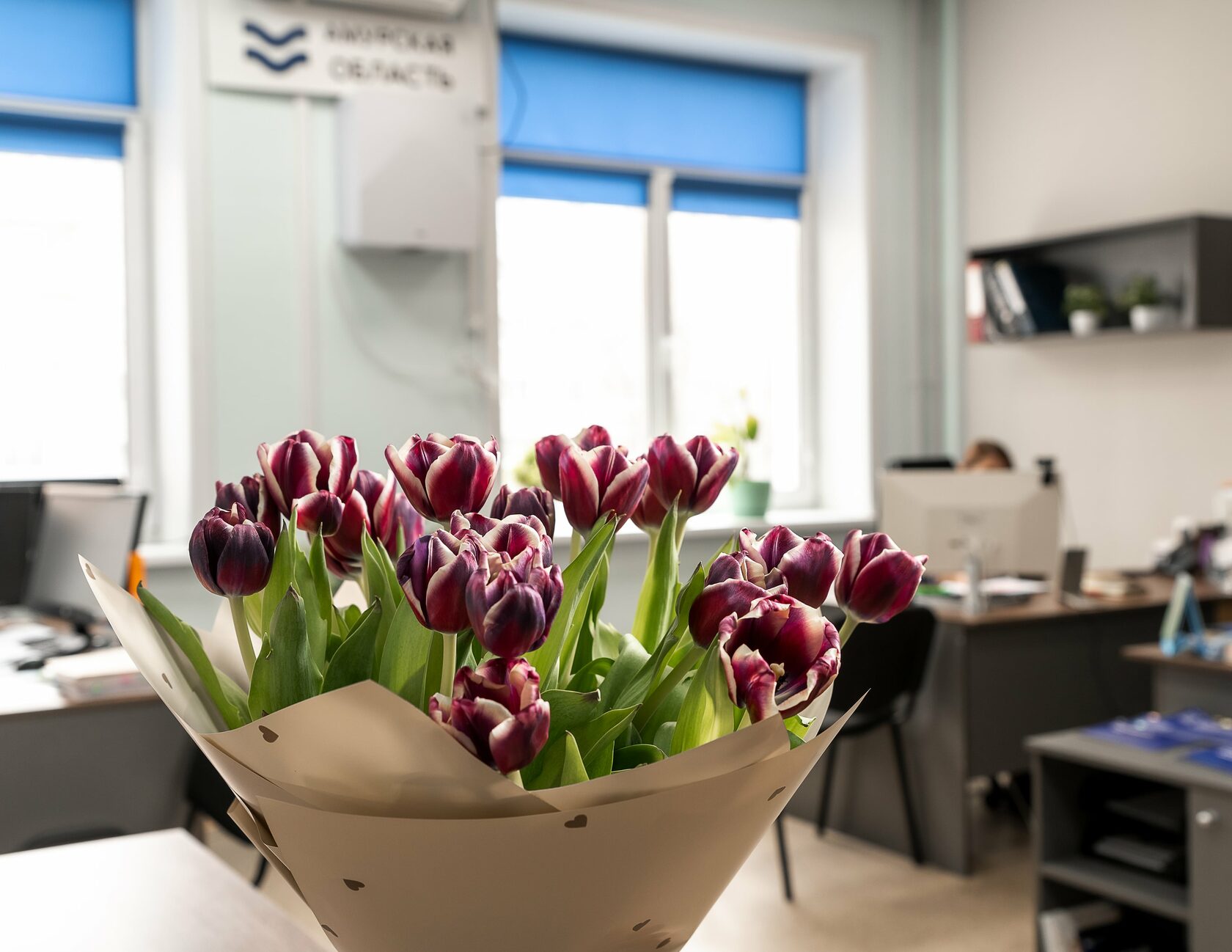 Агентство по привлечению инвестиций