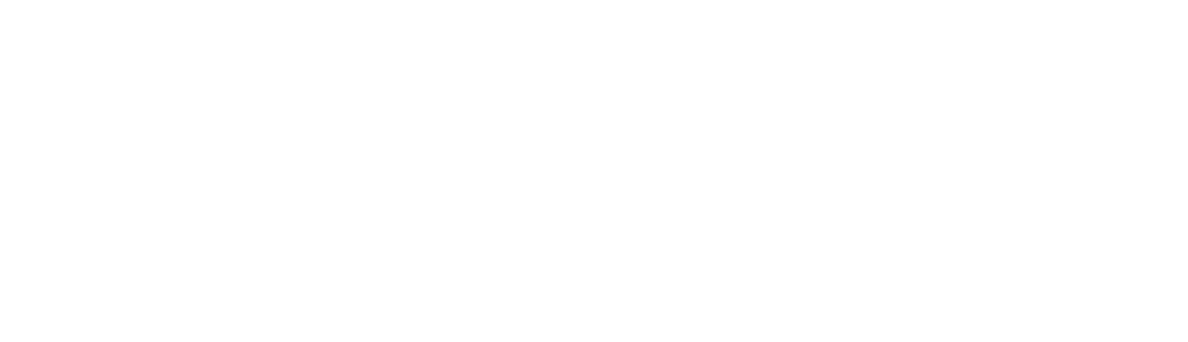 Логотип цвет 2