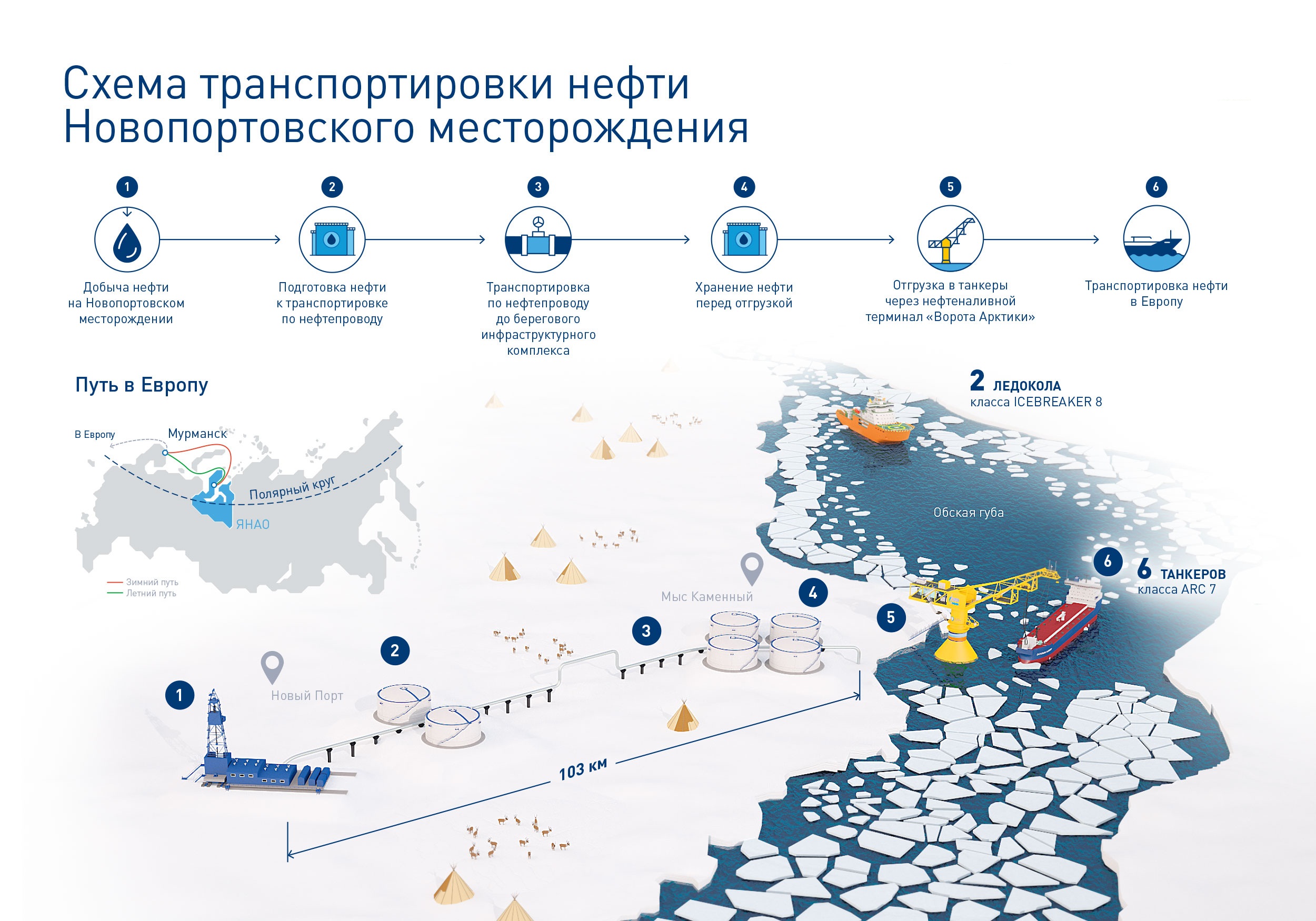 Проект ворота арктики