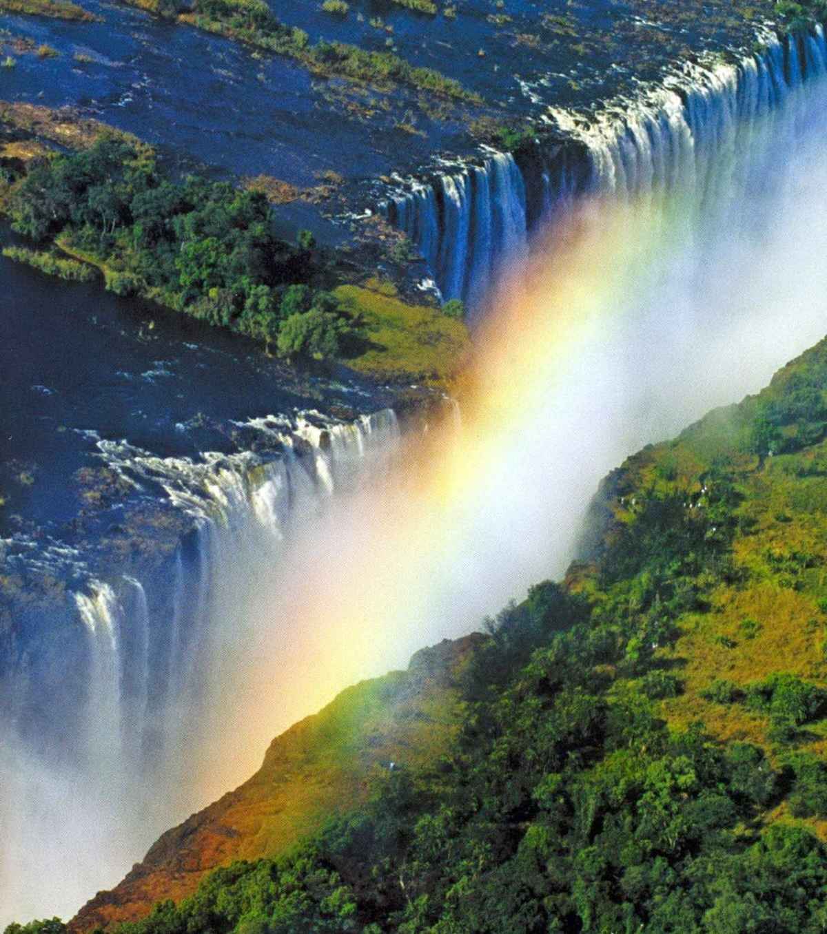 Львы на сафари в Кении