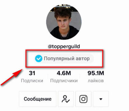 За что дают и что значит галочка в TikTok