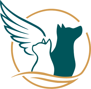 «Архангельская ритуальная служба для животных» — кремация, эвтаназия.