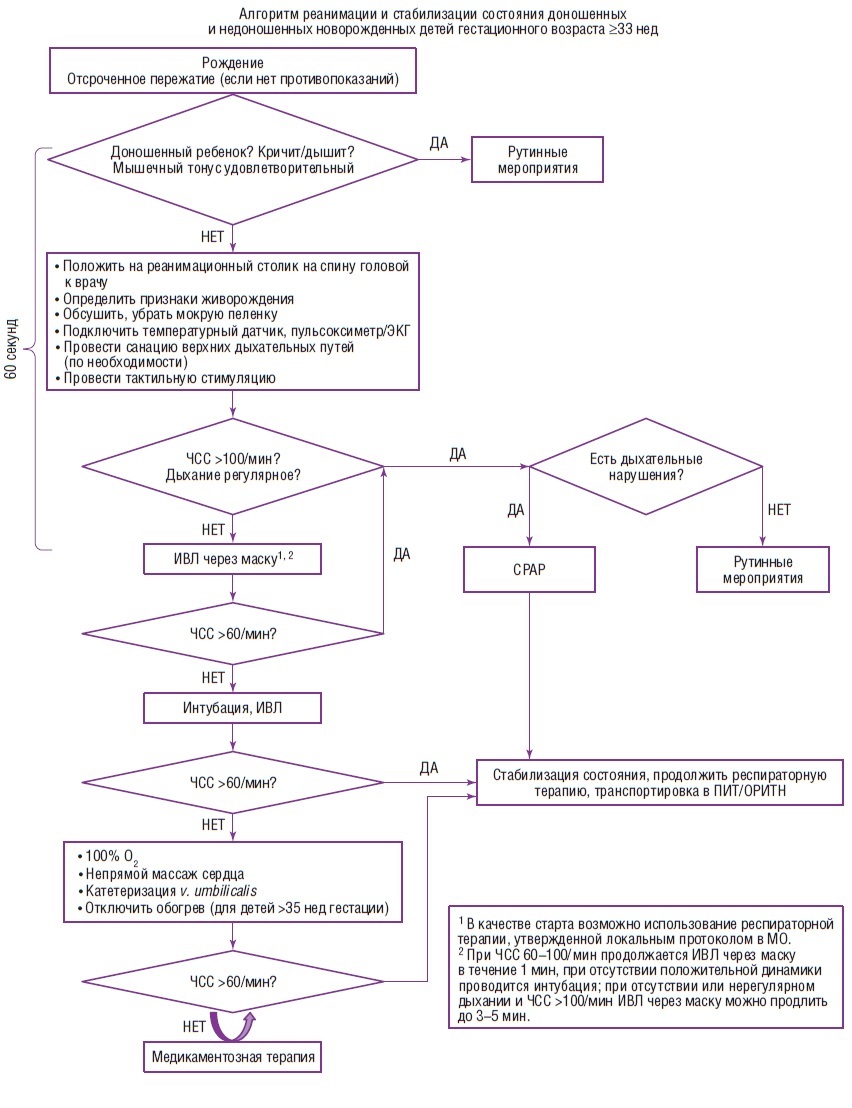 Алгоритм состояние. Схема первичной реанимации новорожденного. Протокол реанимации новорожденных 2020. Алгоритм первичной реанимации новорожденного. Схема реанимации новорожденных в родильном зале.
