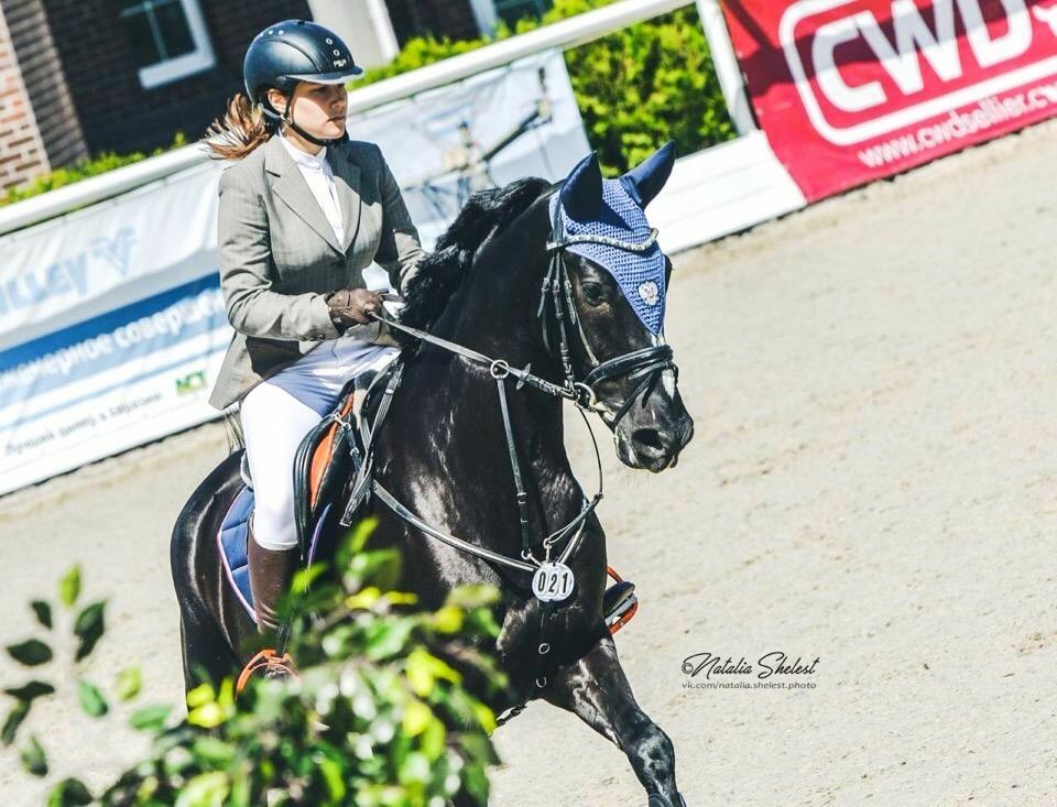 Конный спорт предложение. Вероника шенкеле. Алина Шенкель. Анна Мария Шенкель.