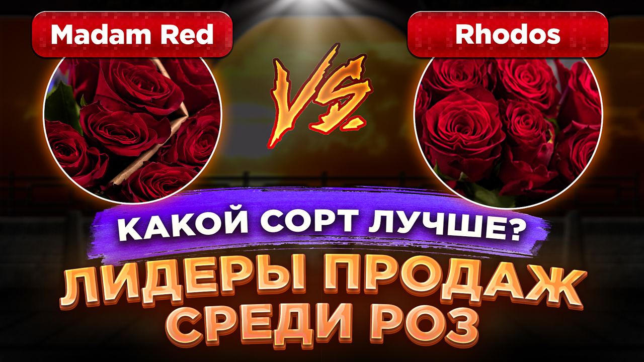 Какой же сорт красной розы выбрать?
