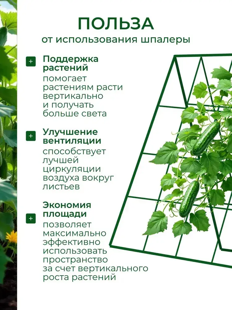 Мангал 60 см размер