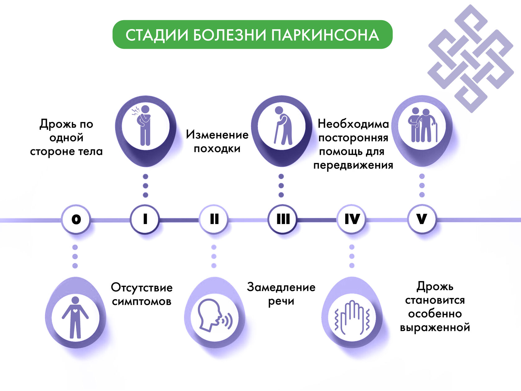 Все стадии болезни Паркинсона их симптомы и продолжительность