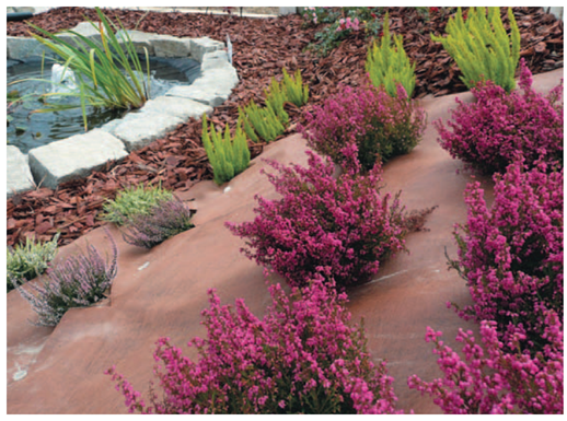 тайпар в дороге