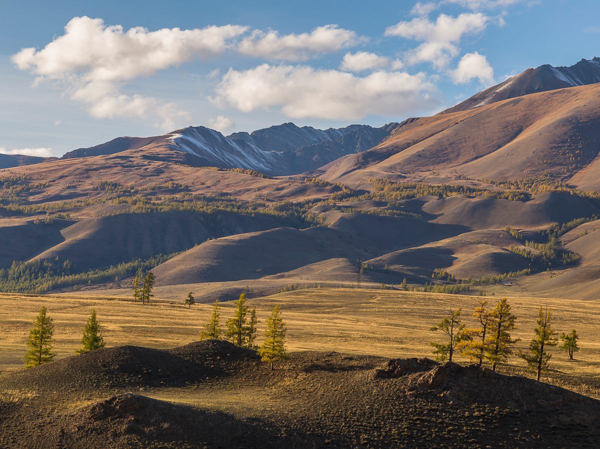 Монгольский алтай фото