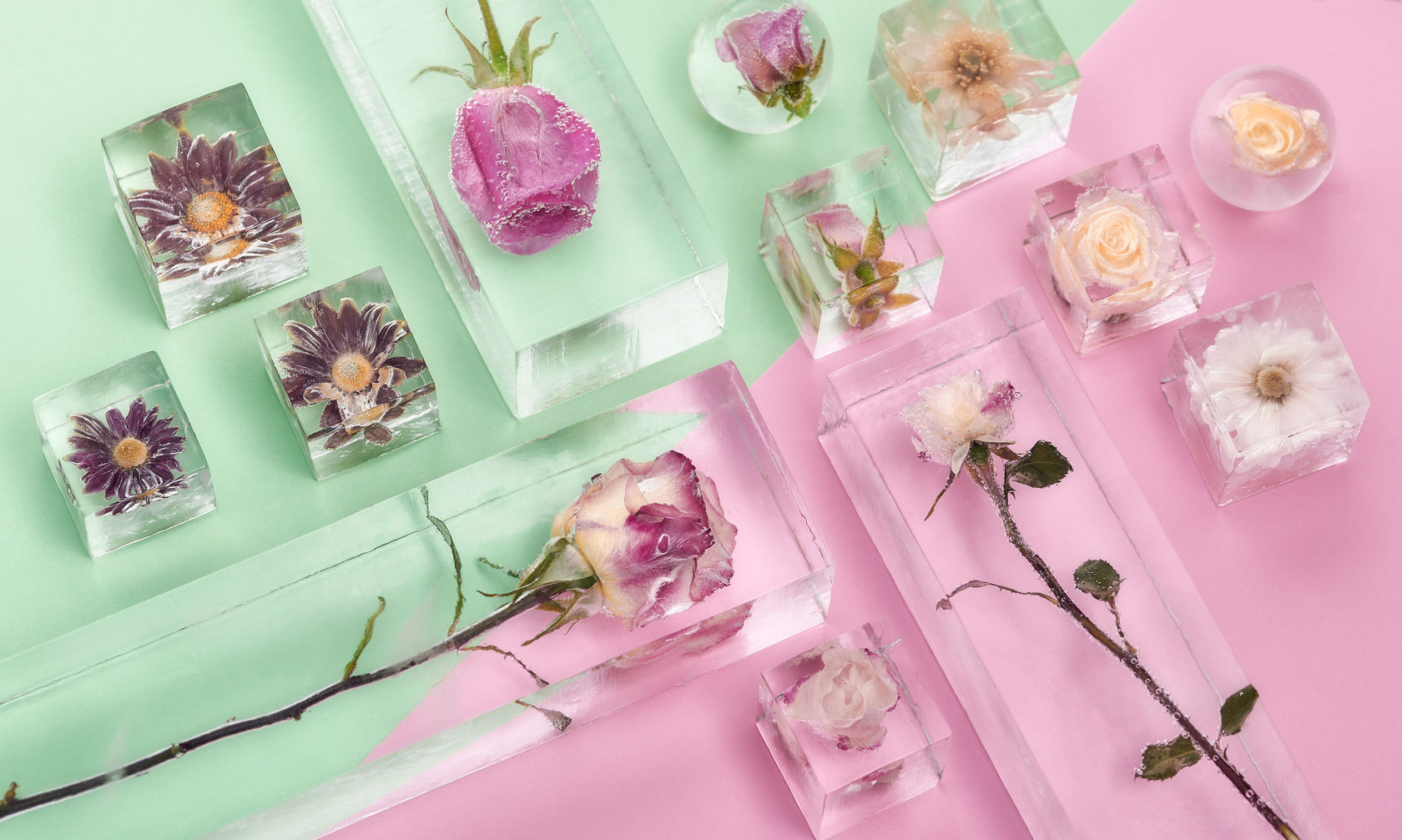 Цветы замороженные в прозрачный лёд