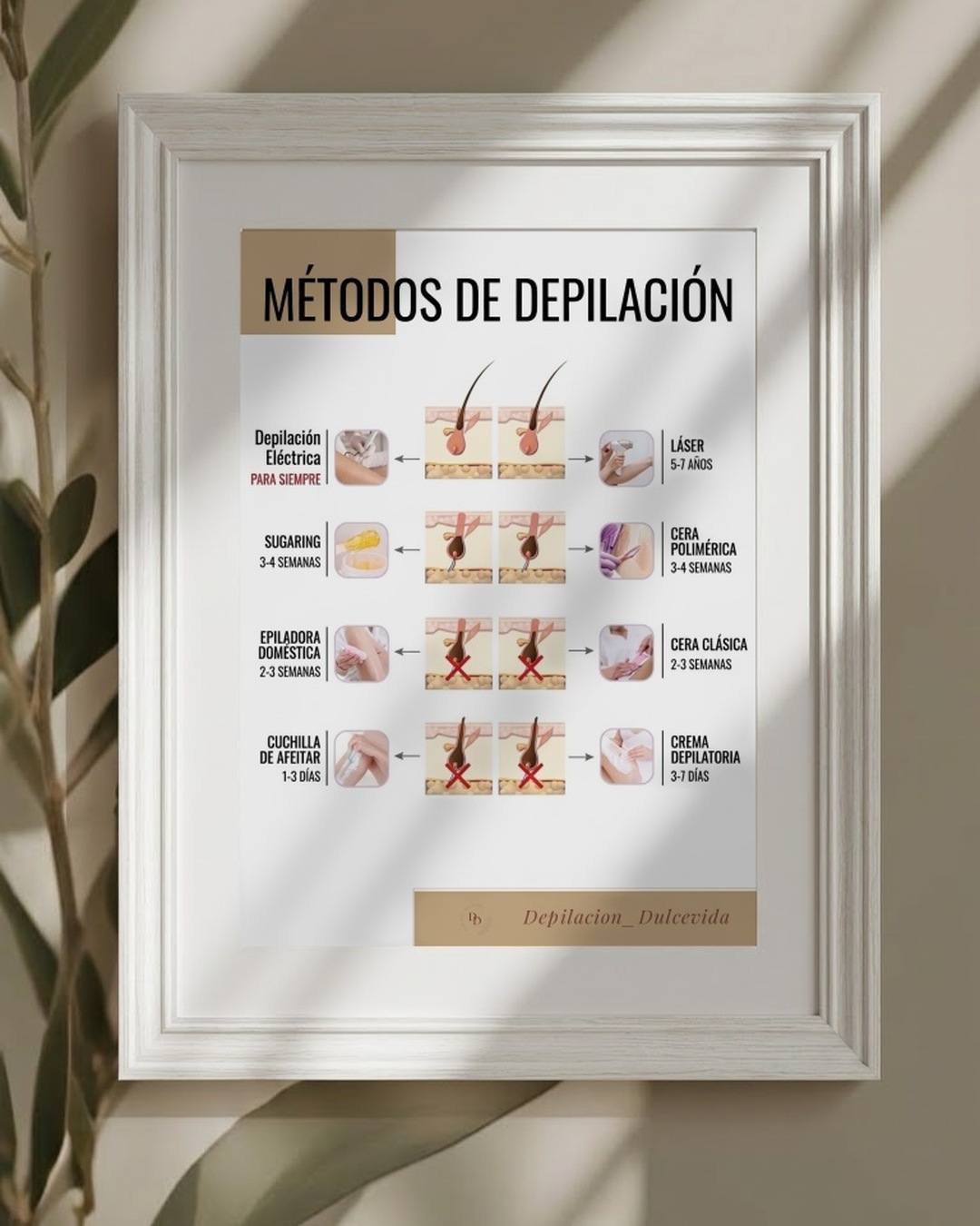 Póster en español
