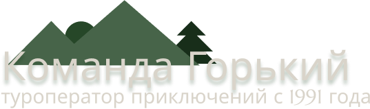 Company