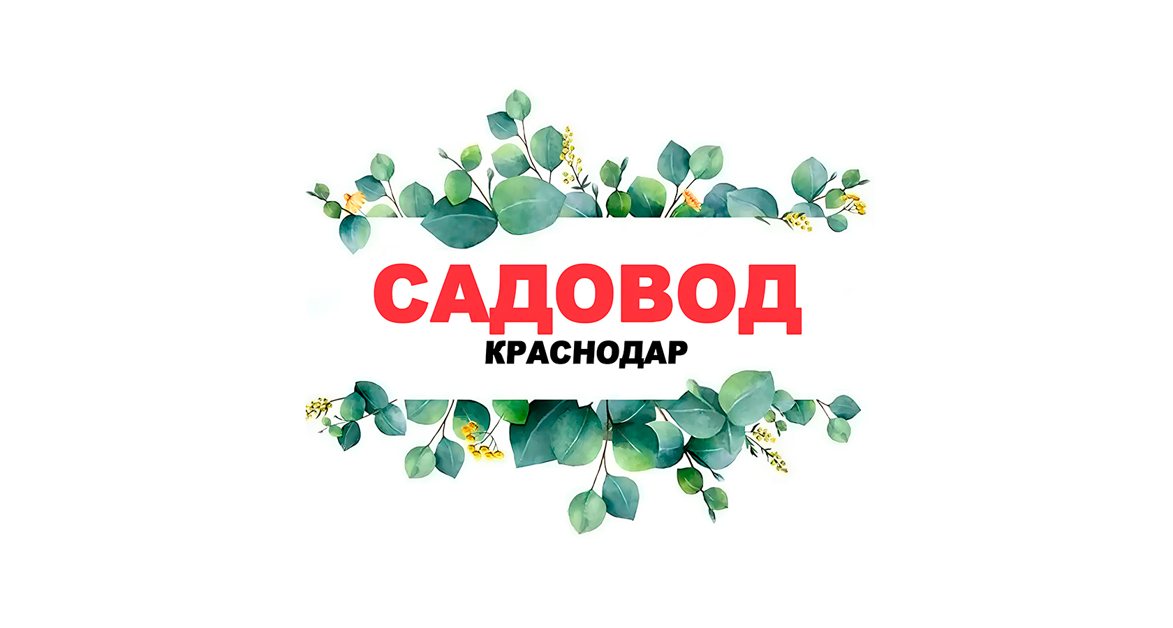 Садовод Краснодар САЖЕНЦЫ