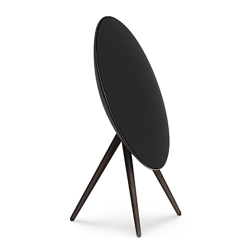 Bang &amp; Olufsen Beosound A9 5th Gen