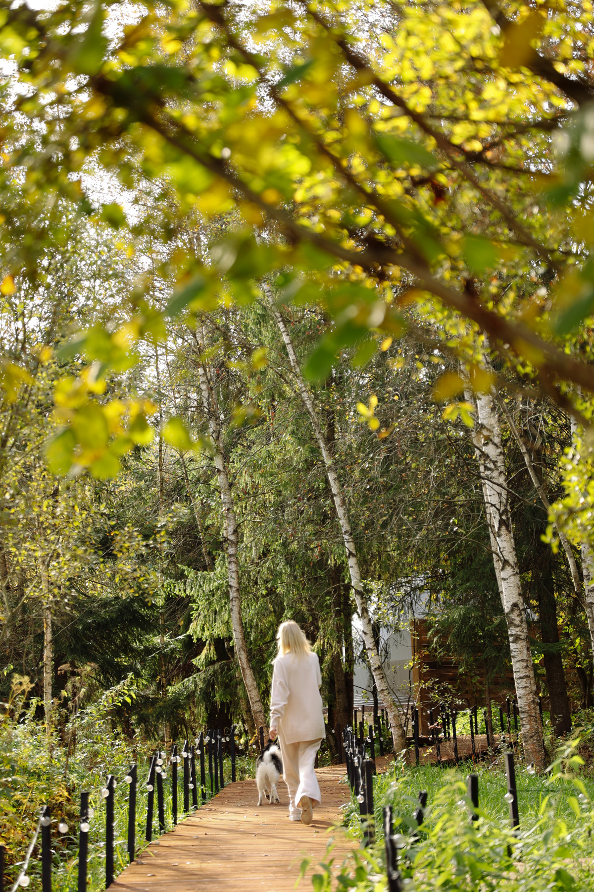 В кронах, глэмпинг