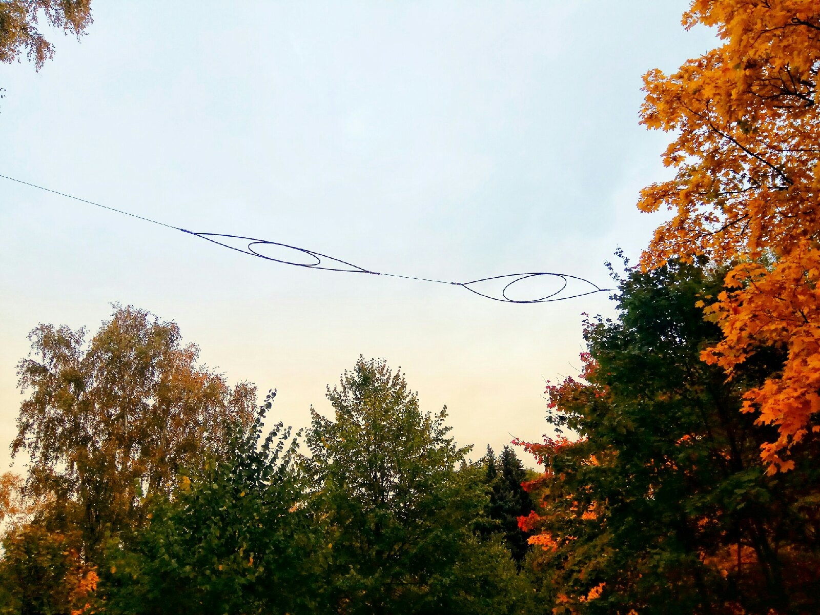 Ленинградский светлячок. Светлячки блокады. Блокадный светлячок фото. Светлячки блокада ленинграда. Ленинградский светлячок.