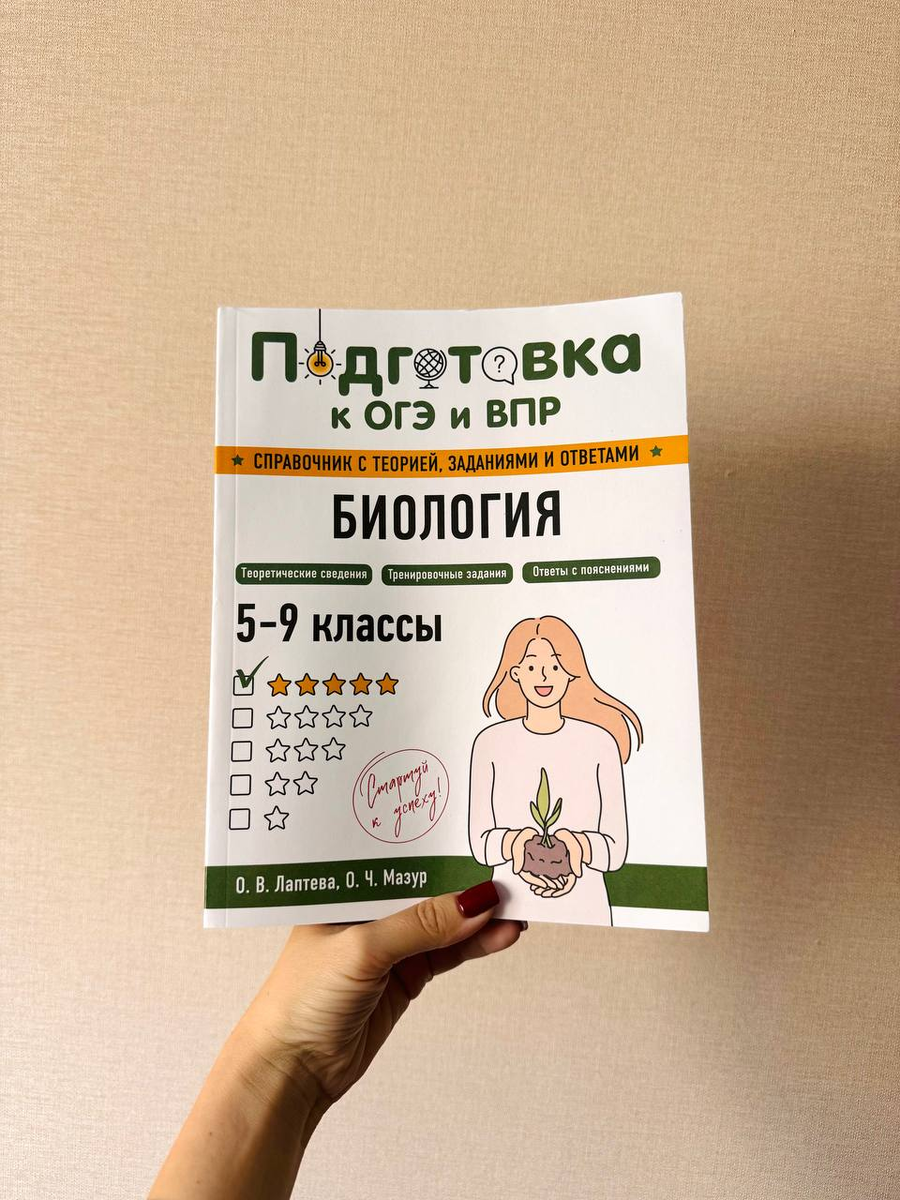 -6