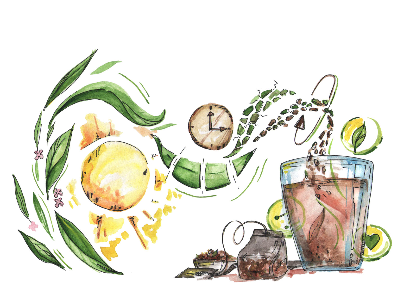 Польза ферментированного иван-чая, свойства