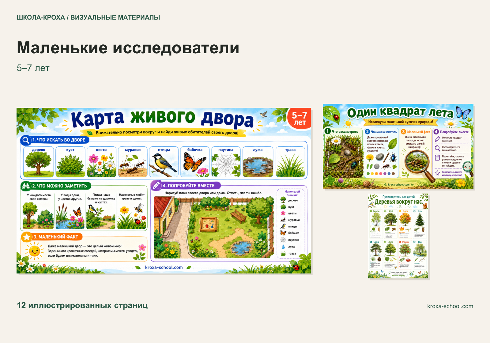 Идеи исследований на прогулке для детей 5–7 лет