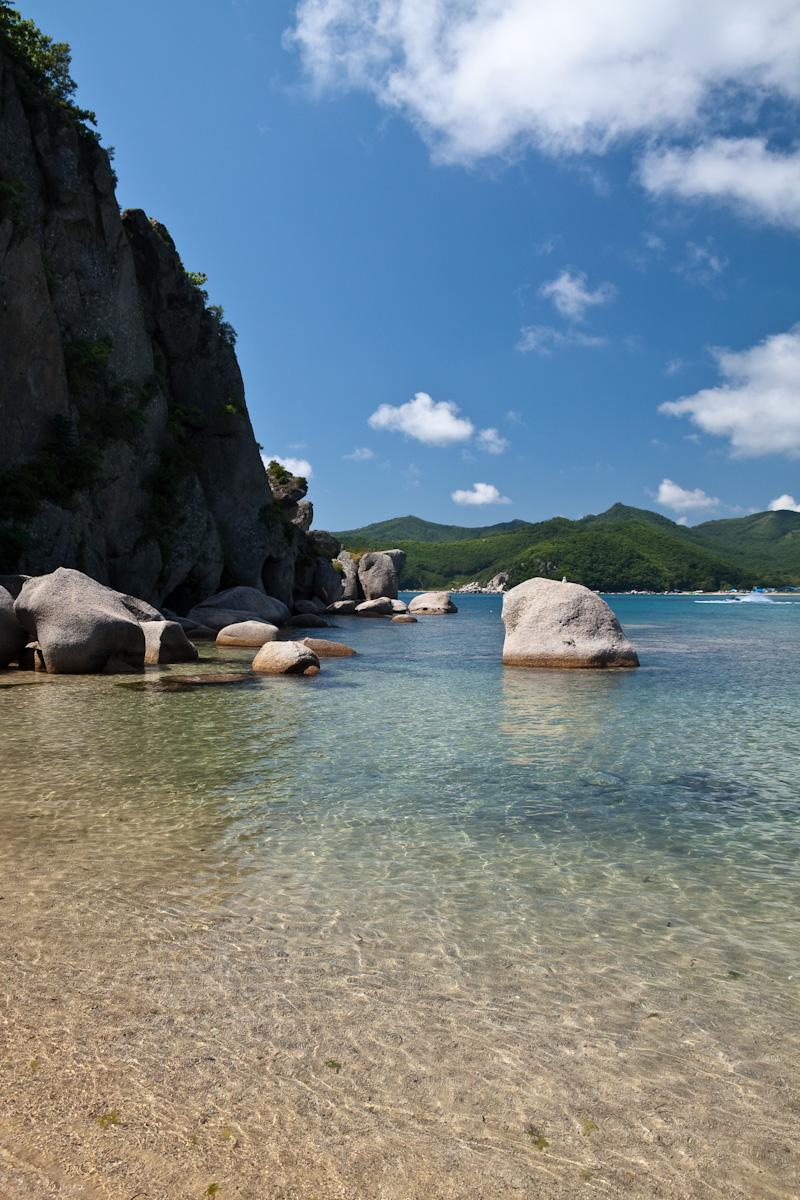 Свежая ламинария крупным планом