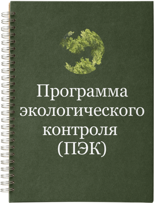 Интенсив. Разработчик, ступень 2. Разработка ПЭК