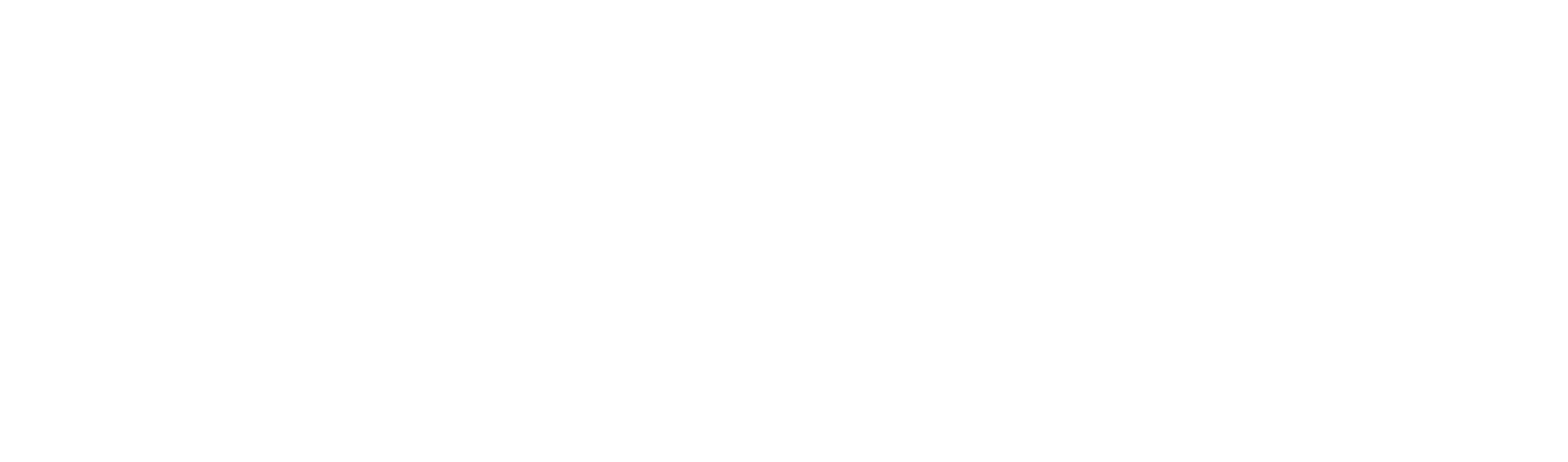  ЛЕСТНИЦА В ДОМ 