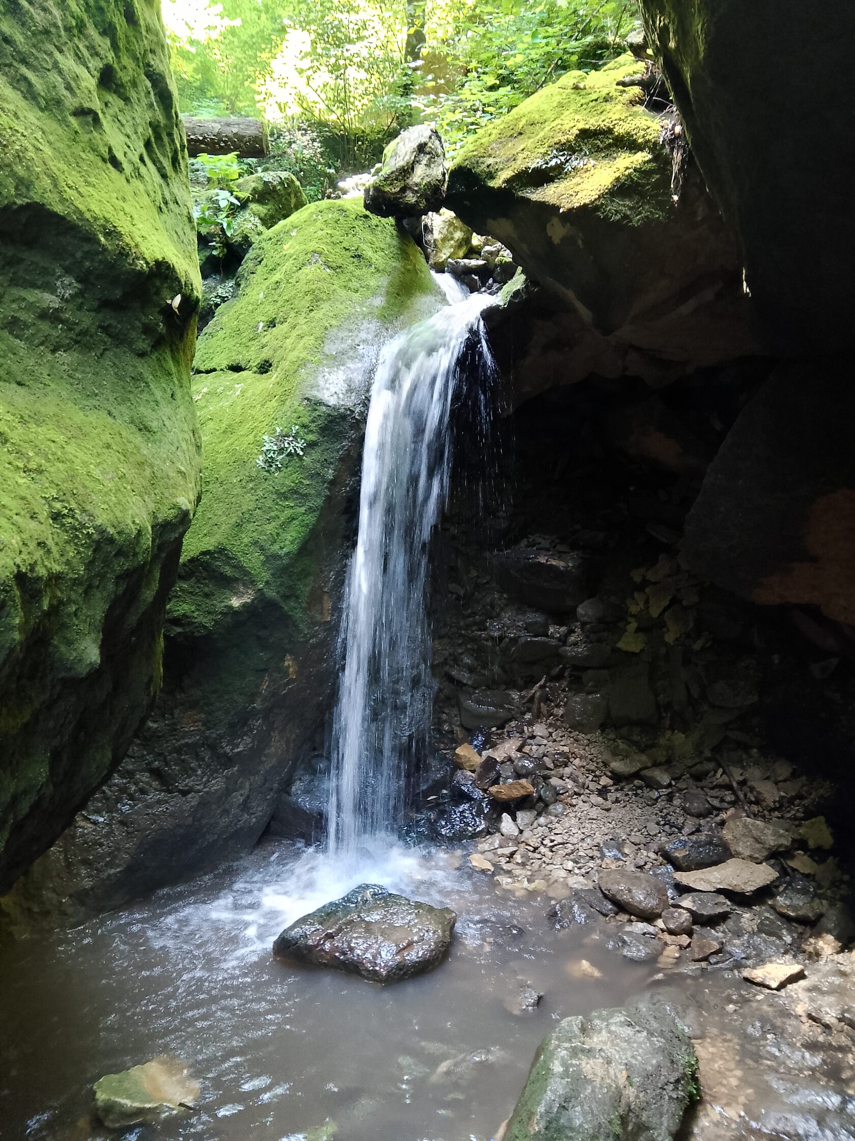 Jungle Falls