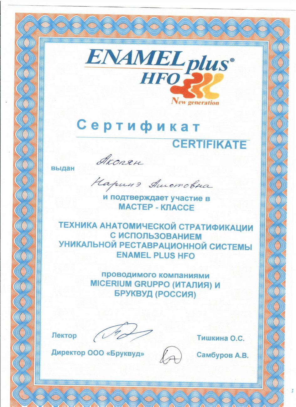 Enamel plus HFO — мастер-класс по технике анатомической стратификации