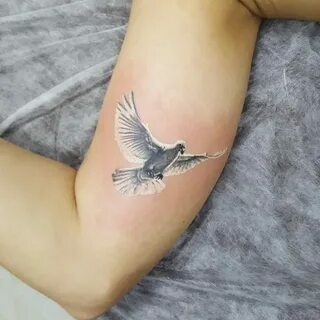 эскиз тату голубь фотограф | Tattoo Academy