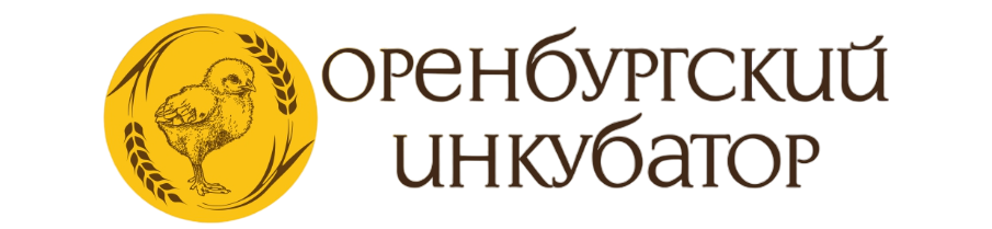 Оренбургский инкубатор