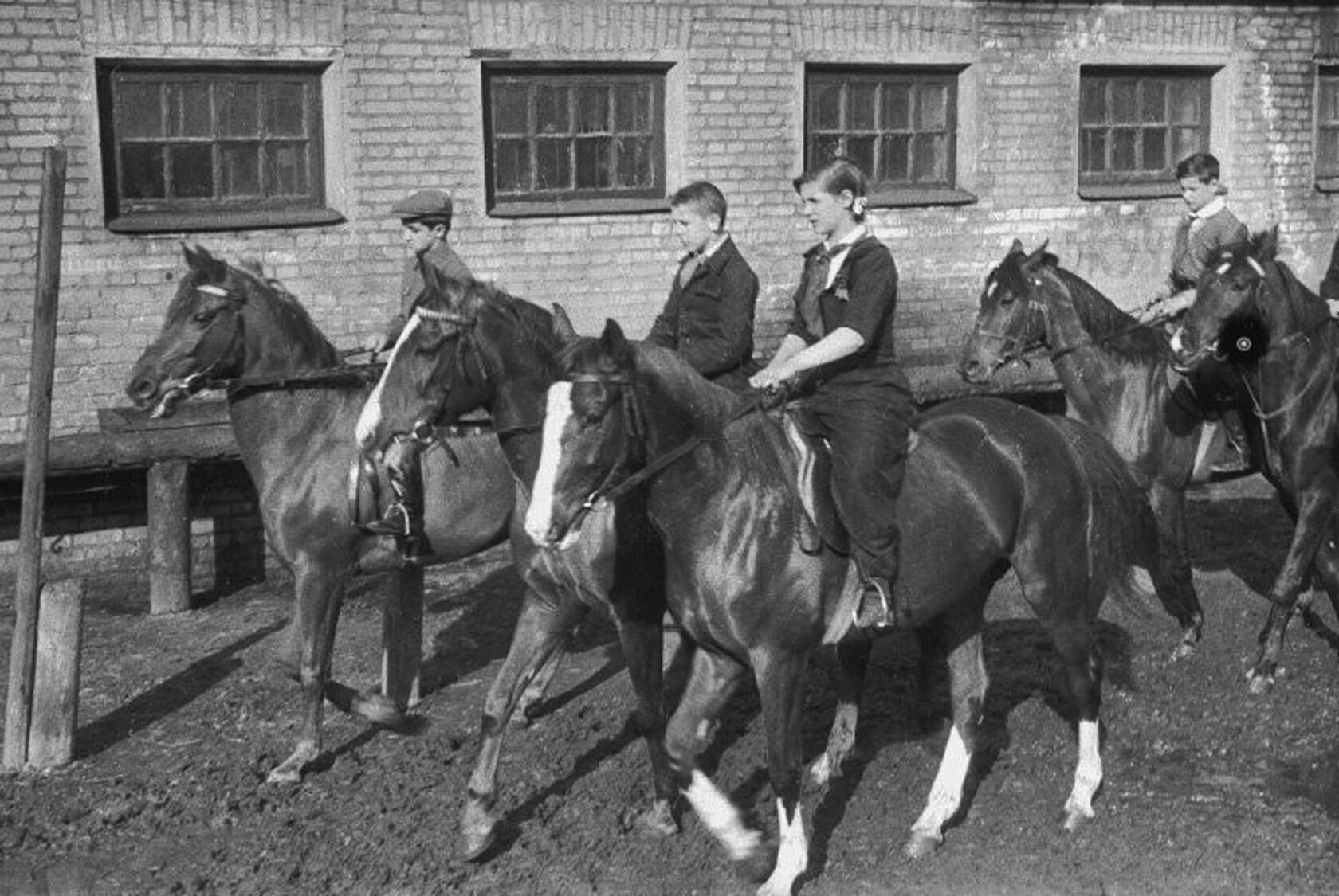 Лошадиный ветеран. Конная библиотека Кентукки. Общественные настроения 1930. Общественные настроения в 1930 годы СССР. Общественные настроения 30-х годов.