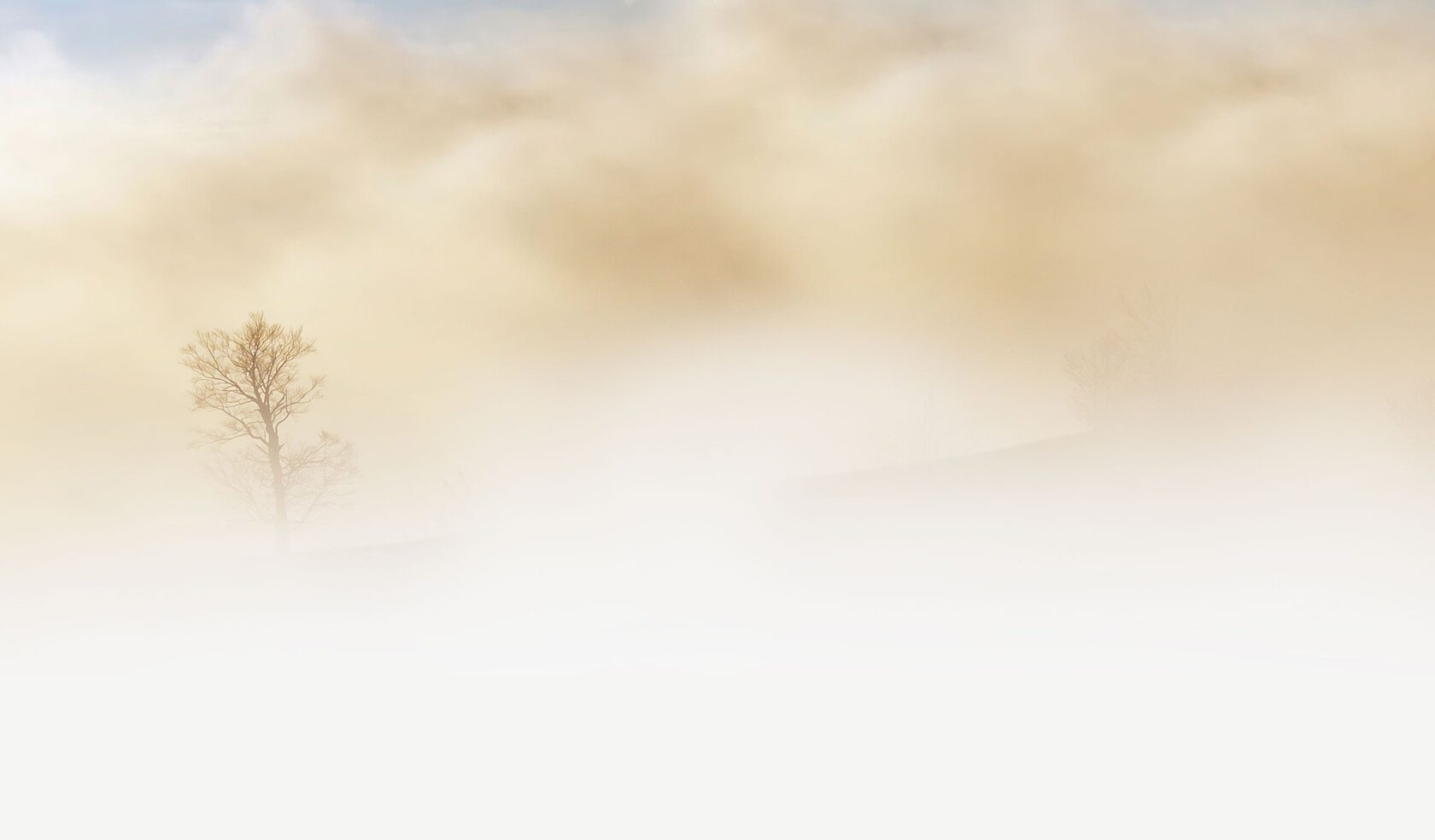 Brain fog