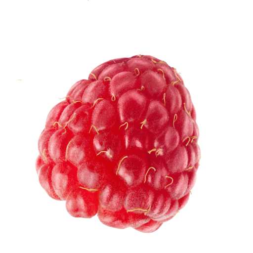 Jarvy - All-natural freeze-dried berries