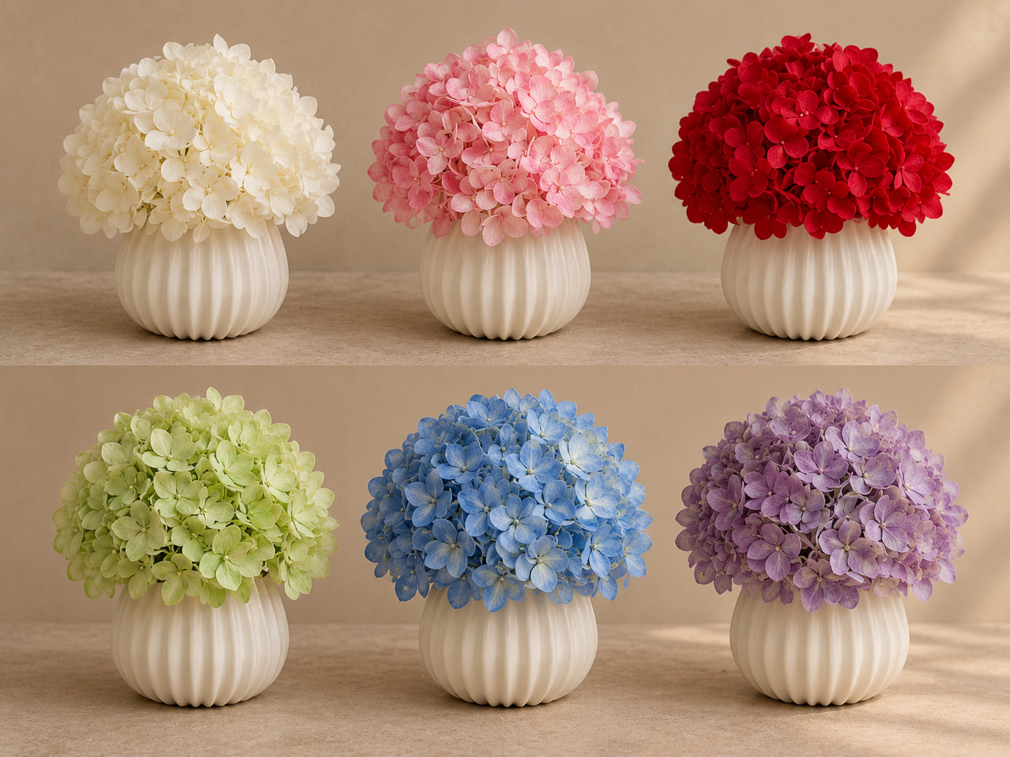 Hydrangea sp.