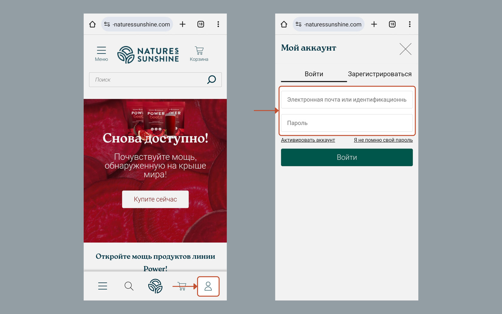 vhod-v-magazin-so-smartfona-nsp-v-germanii
